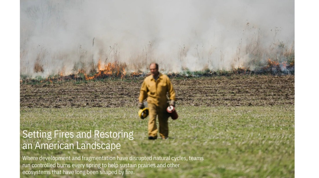 The New York Times feature, Setting Fires and Restoring an American Landscape, about controlled burns at The Nature Conservancy's Nachusa Grasslands